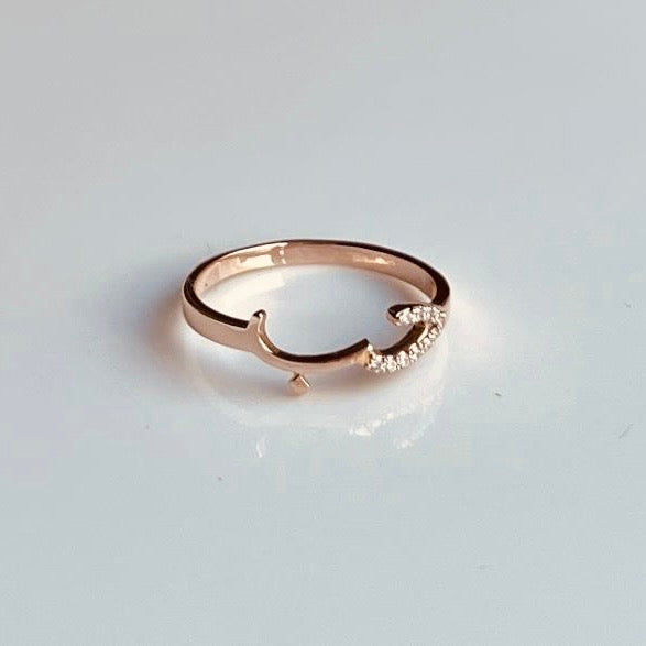 Love ring in arabic