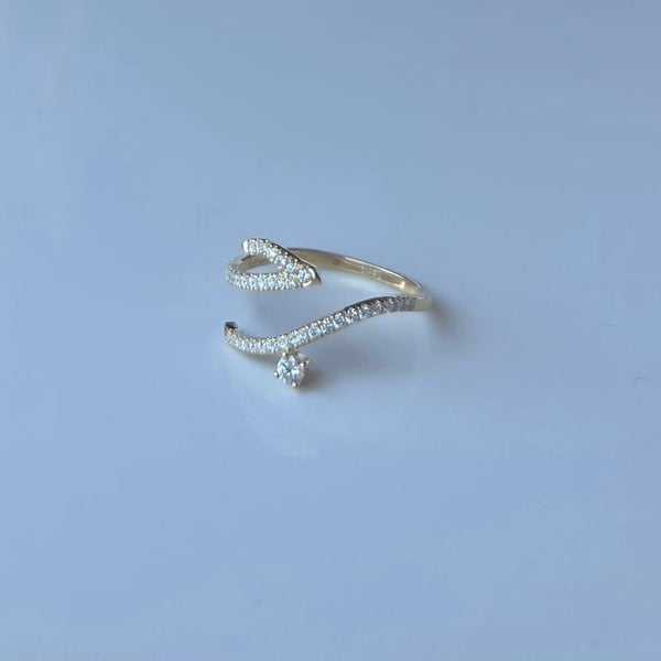 Love Ring حب