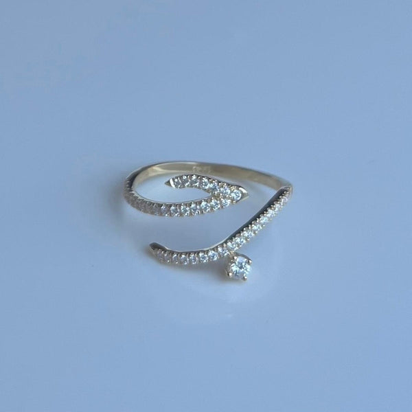 Love Ring حب