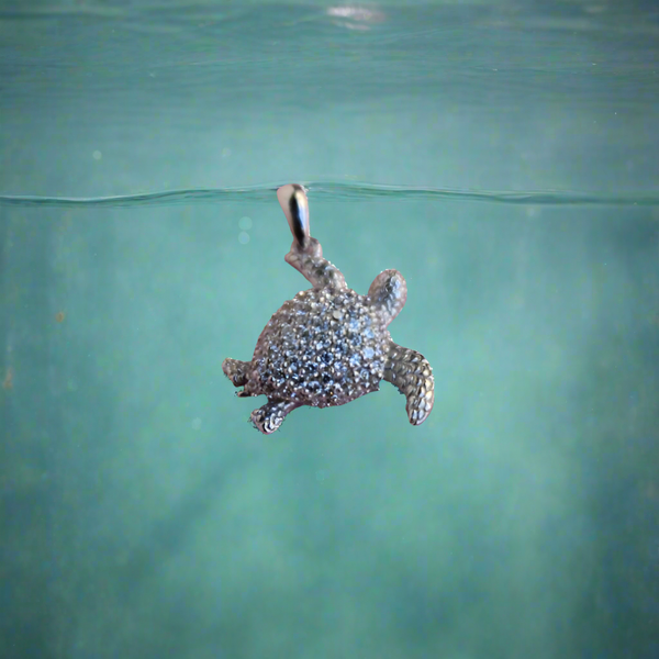 Sea turtle